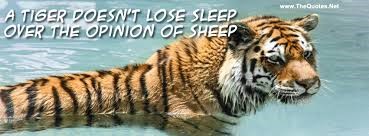 A Tiger Doesn’t Lose Sleep Over The Opinions Of Sheep