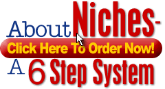 About Niches – A 6 Step System