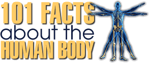 101 Facts About the Human Body