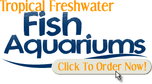 Tropical Freshwater Fish Aquariums